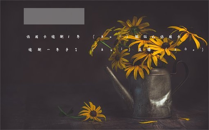 信用卡逾期1年會(huì)被抓么(信用卡逾期一年多了會(huì)直接報(bào)警抓人嗎?)