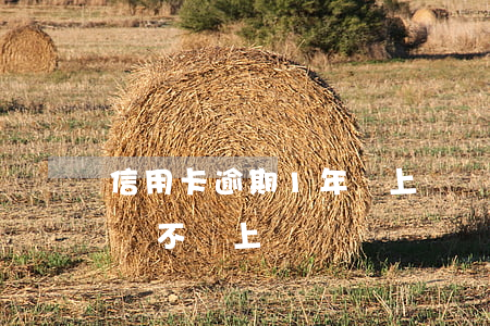 信用卡逾期1年會上門嗎(信用卡逾期兩個月會不會上門)
