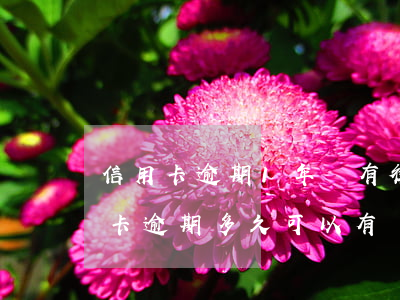 信用卡逾期1年會有律師嗎(找律師處理信用卡逾期多久可以有結(jié)果的)