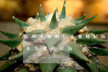 信用卡逾期1年會被起訴嗎(信用卡1萬逾期多久會被起訴)