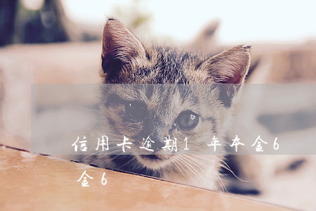 信用卡逾期1年本金6萬(信用卡逾期1年本金6萬)