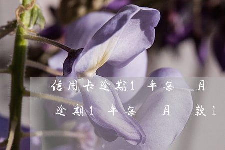 信用卡逾期1年每個月還款10元-信用卡逾期1年每個月還款10元怎么辦