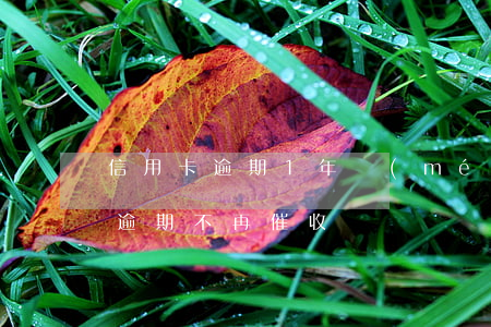 信用卡逾期1年沒(méi)人催收(信用卡逾期不再催收)