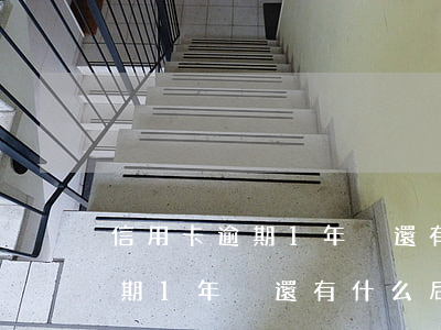 信用卡逾期1年沒還有什么后果-信用卡逾期1年沒還有什么后果嗎