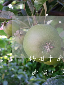 信用卡逾期1年滯納金是怎么算的-信用卡逾期1年滯納金是怎么算的呢