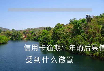 信用卡逾期1年的后果(信用卡逾期一年半會受到什么懲罰)