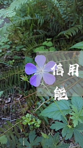 信用卡逾期1年能貸款嗎(信用卡逾期一年還能辦信用卡嗎)