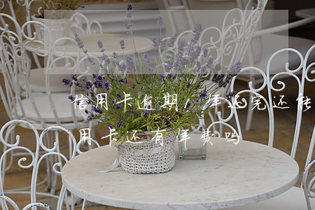 信用卡逾期1年还完还能用吗(逾期还完的信用卡还有年费吗)