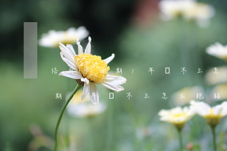 信用卡逾期1年還不上怎么跑路-信用卡逾期1年還不上怎么跑路了呢