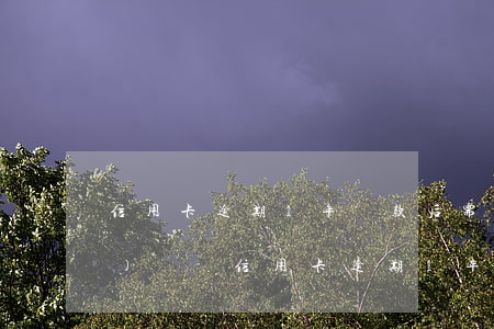 信用卡逾期1年還款后需要注銷(xiāo)嗎-信用卡逾期1年還款后需要注銷(xiāo)嗎怎么辦