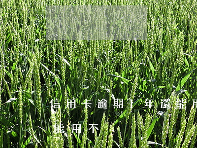 信用卡逾期1年還能用不(信用卡逾期1年還能用不)