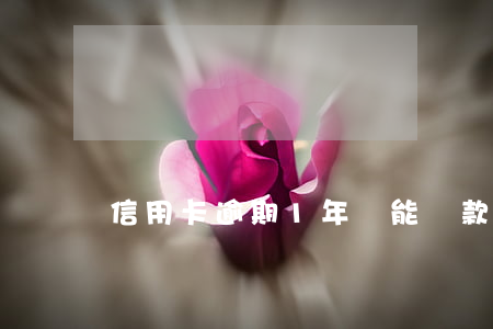 信用卡逾期1年還能貸款嗎