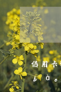 信用卡逾期1年銀行已經(jīng)報(bào)案(信用卡5000逾期1年)