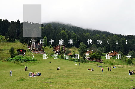 信用卡逾期1快錢(qián)會(huì)影響信用嗎-信用卡逾期1快錢(qián)會(huì)影響信用嗎