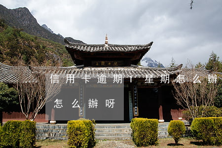 信用卡逾期1星期怎么辦(信用卡逾期1星期怎么辦呀)