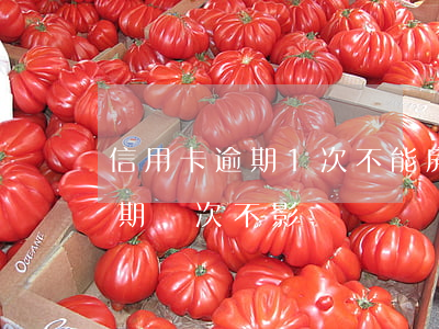 信用卡逾期1次不能房貸(買房貸款信用卡逾期幾次不影響)