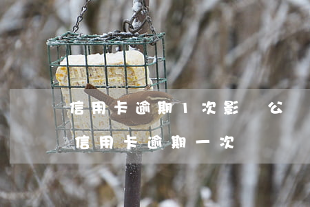 信用卡逾期1次影響公積金貸款 公積金貸款信用卡逾期一次