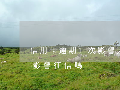 信用卡逾期1次影響大嗎(信用卡逾期1次會影響征信嗎)