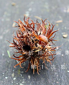 信用卡逾期1次影響貸款不影響-信用卡逾期1次影響貸款不影響房貸嗎