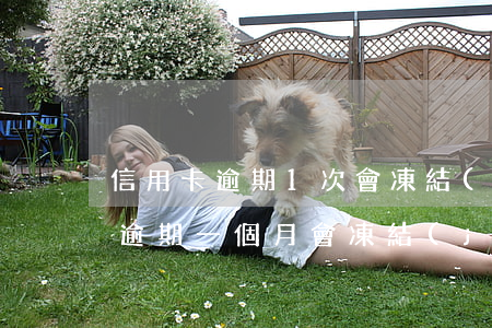 信用卡逾期1次會凍結(jié)嗎(信用卡逾期一個月會凍結(jié)嗎)