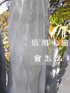 信用卡逾期1次會怎么樣(信用卡逾期一個月會怎么樣 嚴重么)