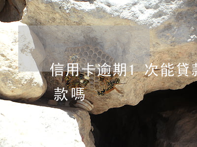信用卡逾期1次能貸款(信用卡逾期1次能貸款嗎)