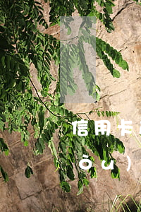 信用卡逾期1次購(gòu)房貸款(購(gòu)房貸款發(fā)生過(guò)一次逾期)