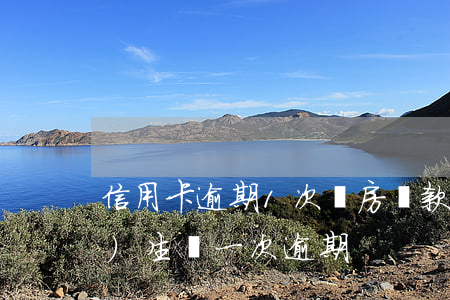 信用卡逾期1次購房貸款(購房貸款發(fā)生過一次逾期)