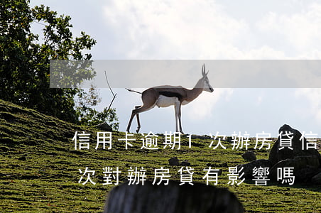 信用卡逾期1次辦房貸(信用卡不小心逾期一次對辦房貸有影響嗎)