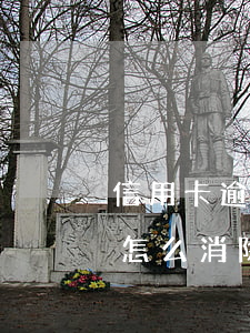 信用卡逾期1比怎么消除-信用卡逾期1比怎么消除