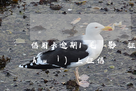 信用卡逾期1毛錢影響征信(一塊錢逾期會(huì)上征信嗎)