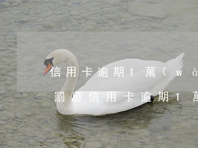 信用卡逾期1萬(wàn)一個(gè)月罰息(信用卡逾期1萬(wàn)一個(gè)月罰息多少錢)