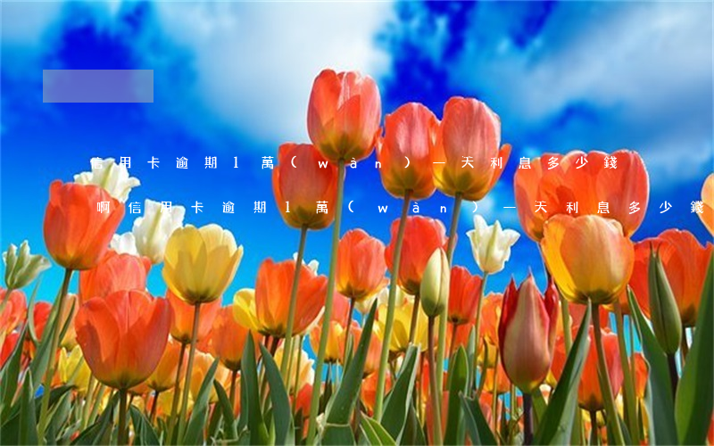 信用卡逾期1萬(wàn)一天利息多少錢啊(信用卡逾期1萬(wàn)一天利息多少錢啊怎么算)
