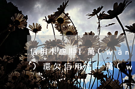 信用卡逾期1萬(wàn)五年沒(méi)還(欠信用卡一萬(wàn)五年沒(méi)還)