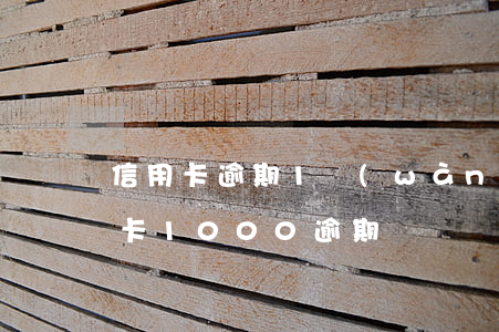 信用卡逾期1萬(wàn)以上怎么辦(信用卡1000逾期)