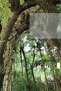 信用卡逾期1萬(wàn)可以執(zhí)行經(jīng)偵嗎(經(jīng)偵管信用卡逾期嗎)