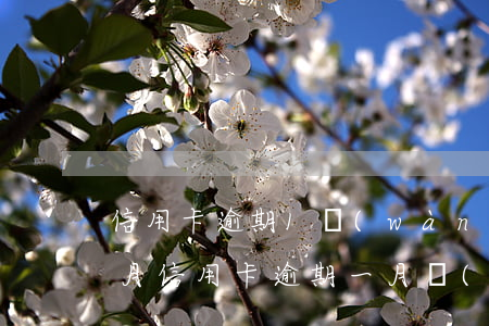 信用卡逾期1萬(wàn)多三個(gè)月(信用卡逾期一月嚴(yán)重嗎)