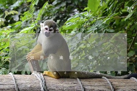 信用卡逾期1萬(wàn)會(huì)上門(mén)嗎(信用卡逾期1萬(wàn)會(huì)上門(mén)嗎)