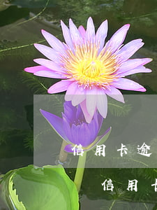 信用卡逾期1萬(wàn)無(wú)力償還(信用卡逾期一萬(wàn)塊錢(qián)不還有什么后果)