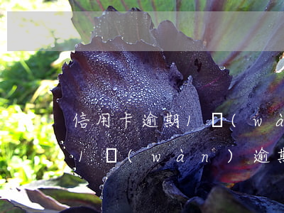 信用卡逾期1萬(wàn)立案后果(信用卡1萬(wàn)逾期多久會(huì)被起訴)