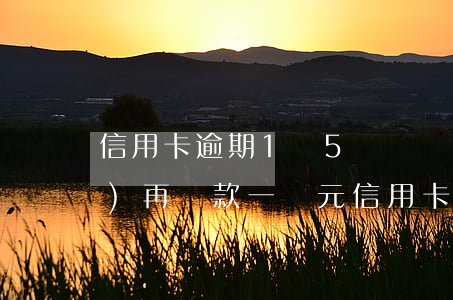 信用卡逾期1萬5陸陸續(xù)續(xù)再還款 一萬元信用卡逾期五年