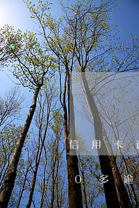 信用卡逾期1萬7會被起訴嗎(信用卡8000多逾期會被起訴嗎)