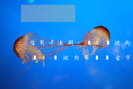 信用卡逾期1萬8會被拘留嗎(信用卡逾期1萬8會被拘留嗎會坐牢嗎)