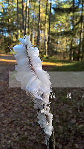 信用卡逾期1萬一年會什么結(jié)果
