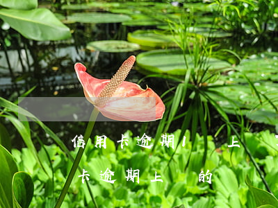 信用卡逾期1萬上門了去村部-有沒有信用卡逾期上門的