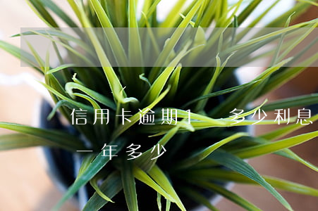 信用卡逾期1萬多少利息(一萬元信用卡逾期一年多少錢)