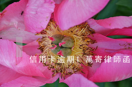 信用卡逾期1萬寄律師函(欠信用卡寄律師函)