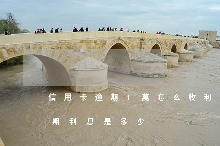信用卡逾期1萬怎么收利息(一萬多信用卡逾期利息是多少)