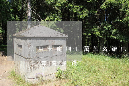 信用卡逾期1萬怎么辦(信用卡1000逾期一年還多錢)