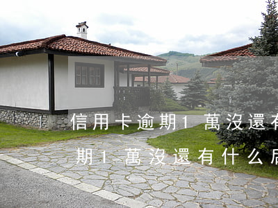 信用卡逾期1萬沒還有什么后果-信用卡逾期1萬沒還有什么后果嗎